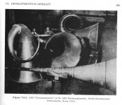 large_horns_pg295.jpg