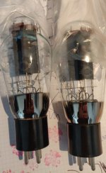 WingedC SV300B.jpg