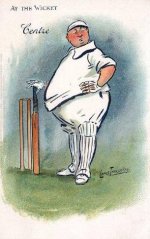 cricketV-305x484.jpg