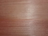 IMG_20191113_103900.jpg