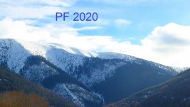 PF_2020.jpg