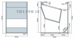 THA PSM 18.jpg