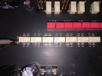 IMG_0270.jpg