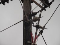 DSCF4616.JPG