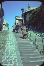 PICT0683-s.jpg
