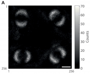 Photo of Quantum Entanglement.png