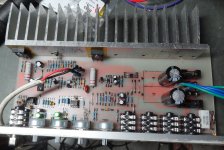APEX bass amp singing.jpg