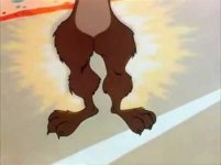 wile e..jpg