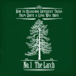 The-Larch-500-T.jpg