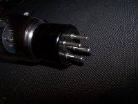 100_3752.JPG