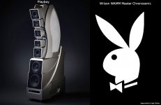 Wilson Playboy.jpg