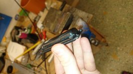 DSC_0493.jpg