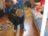 IMG_0312.jpg
