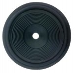 Speaker Cone.jpg