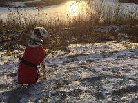 winter_sunset.jpg