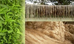 Jute Fibre.jpg