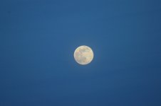 Supermoon 20.00 BST.jpg