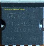 chip-2.jpg