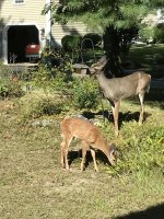 IMG_0106.jpg