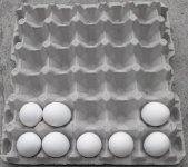 Pee Wee eggs.jpg