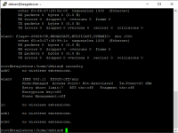 3. IWCONFIG.png