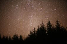 Galloway Forest.jpg