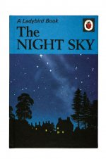 The Night Sky.jpg
