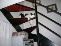 Mauro at the stairs.JPG