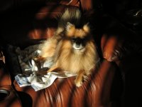 IMG_0957.jpg