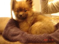 DSC00544.jpg