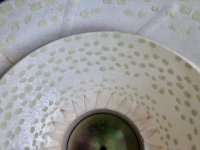 IMG_1489.jpg