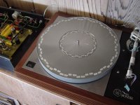 enabl'dlp12 sm.jpg