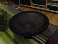 dsc00142.jpg