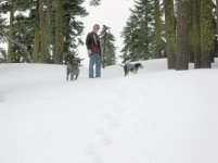 shasta0403.jpg