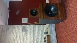 20200505_155135.jpg