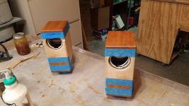Masked for staining.jpg