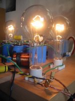 bulbs n stuff.jpg
