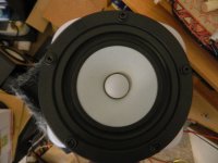 DSCN0724.jpg