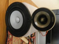 DSCN0731.jpg
