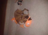 2012-04-11 20.02.55. Charlie fish 3.jpg