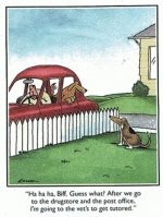 dog_tutor.jpg