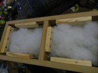 DSCN0722.jpg