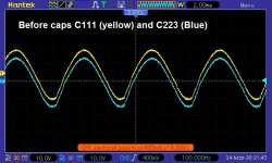 before_caps_C111_C223.jpg