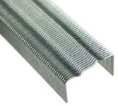 Scout 202-staples.jpg