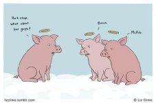 pigs-in-heaven.jpg