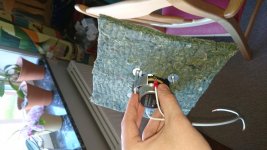 2.WoolBack_back.jpg
