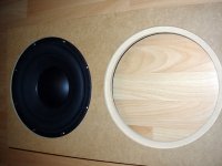 cut-outs-xls10.jpg