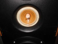 img_5822.jpg