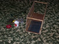 100_3556a.jpg
