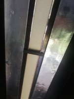 IMG_20200606_125443.jpg